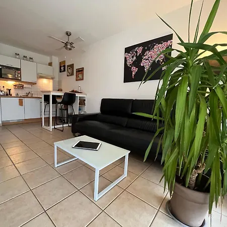 L'ecume * Saint-Cyprien (Pyrenees-Orientales)