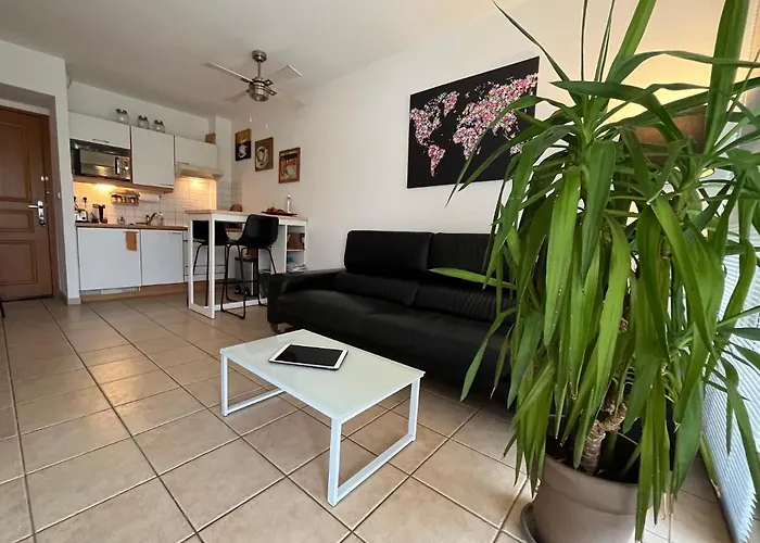 L'ecume * Saint-Cyprien (Pyrenees-Orientales)